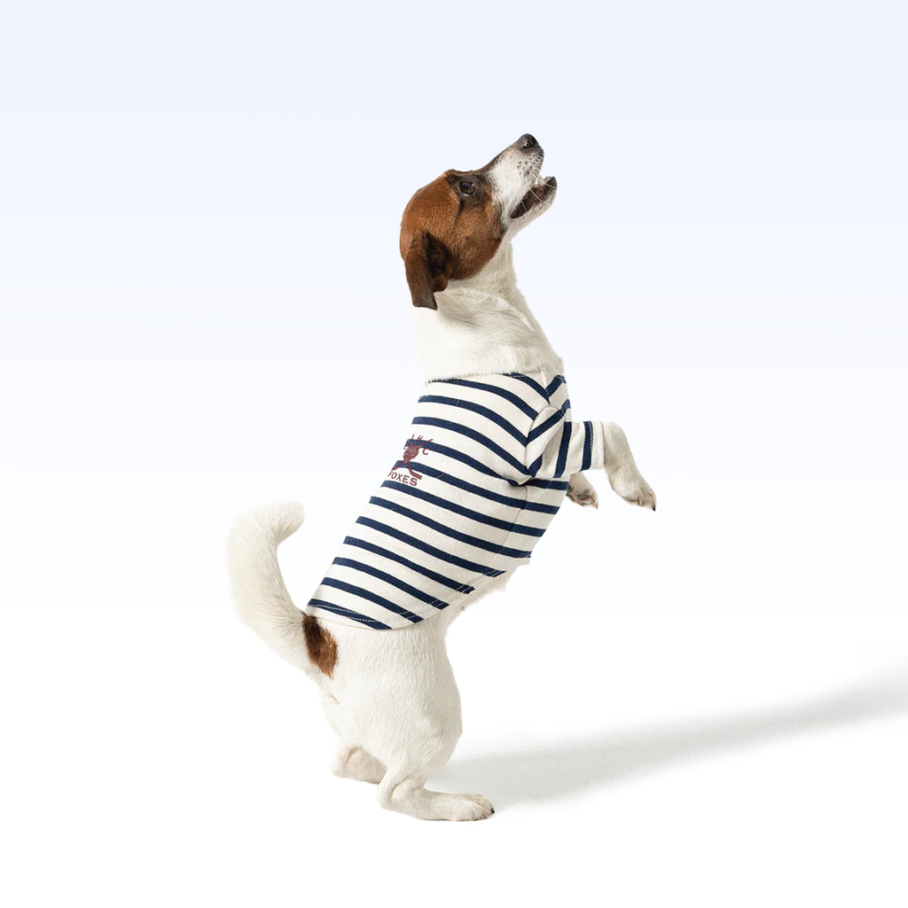 EHC_PARISIAN PUP SHIRT